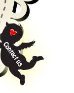 Sewa Kostum Jakarta - Jakarta Costume Rental - Twinkle House - Contact us